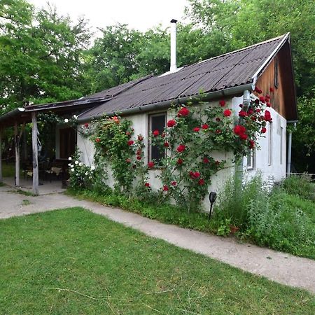 Igricz Farmház Pócsmegyer Exterior foto