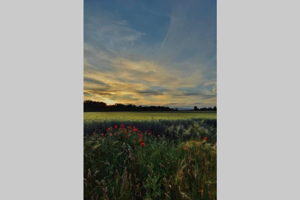 Igricz Farmház Pócsmegyer Exterior foto