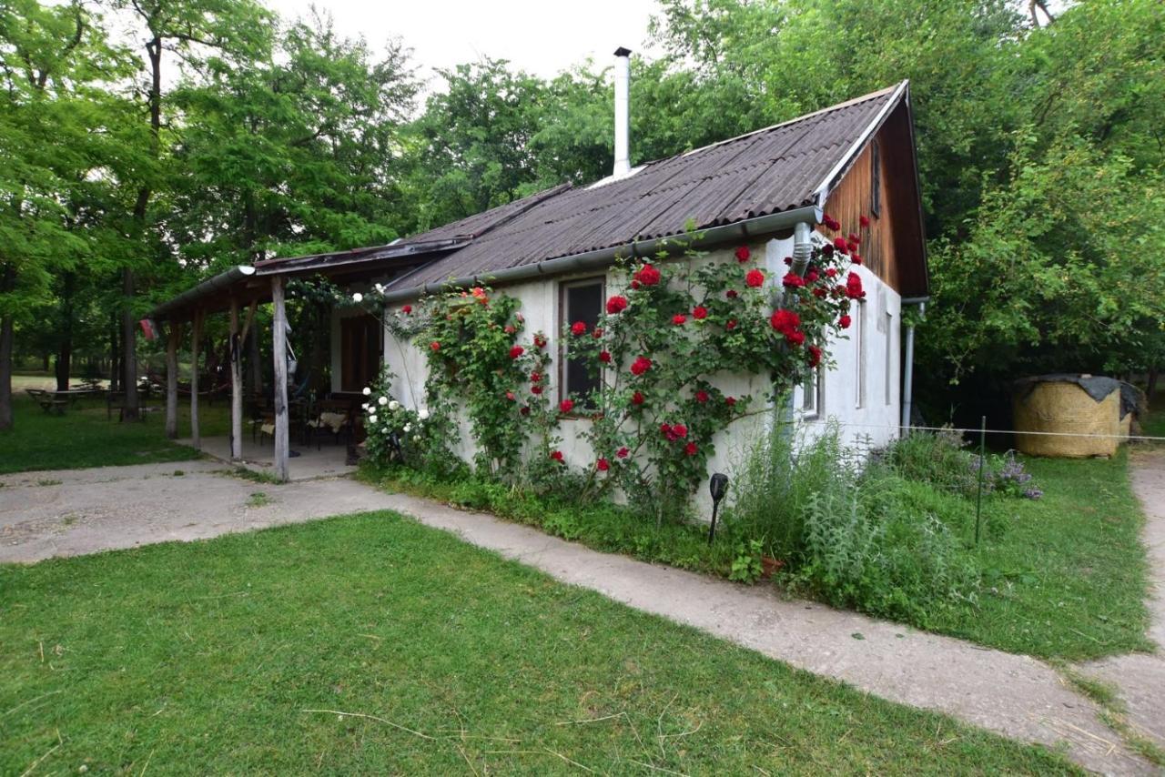 Igricz Farmház Pócsmegyer Exterior foto